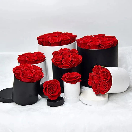 Valentines Day Gift -12 Red Roses Preserved in Black Box