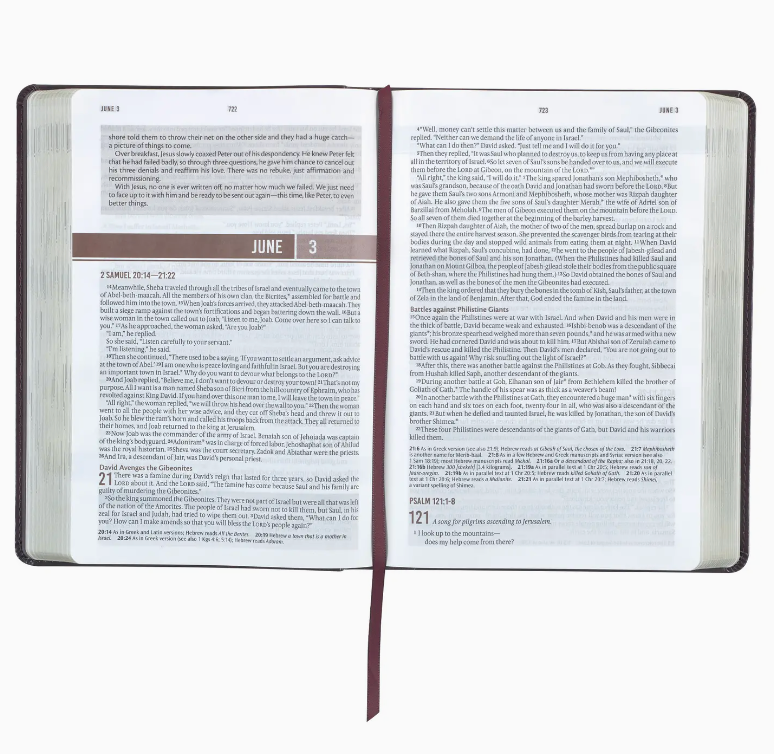 Devotional Bible Nlt For Men Faux Leather Walnut Brown Cross